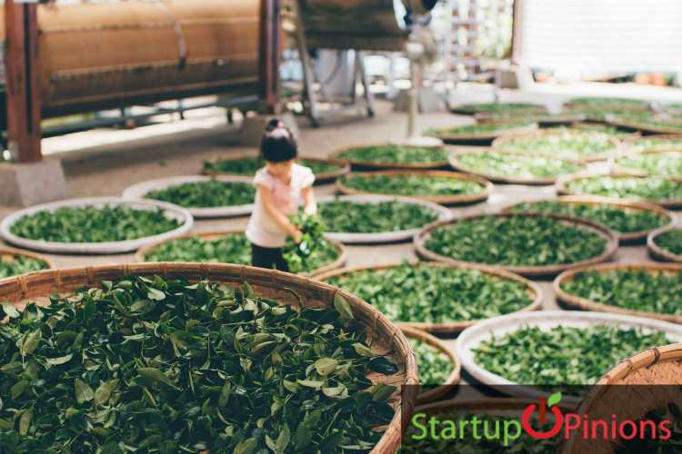 Franchise business in west bengal picture