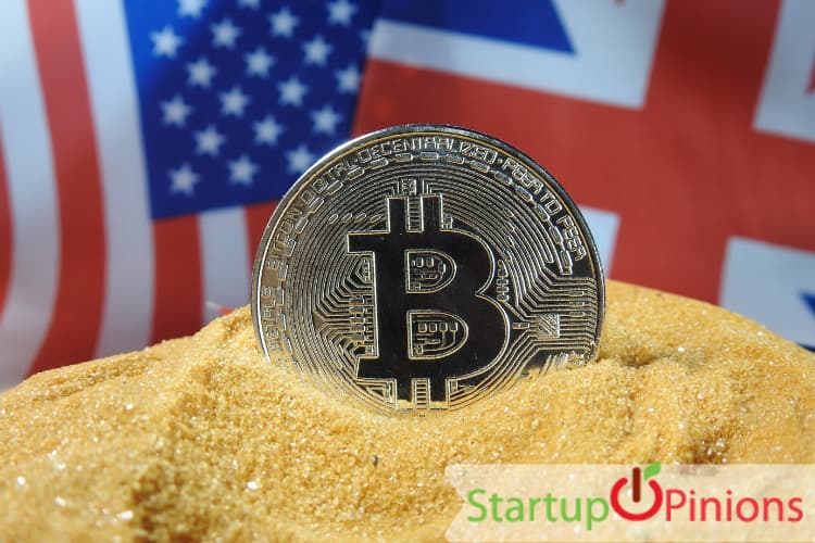 Bitcoin Trading Profit Calculator : Is Bitcoin Profit (BTC Profit) a Scam? Beware, Read our ... : If the bitcoin price rises by 5%, you would still make the same profit of $5,000, but at a considerably reduced cost.