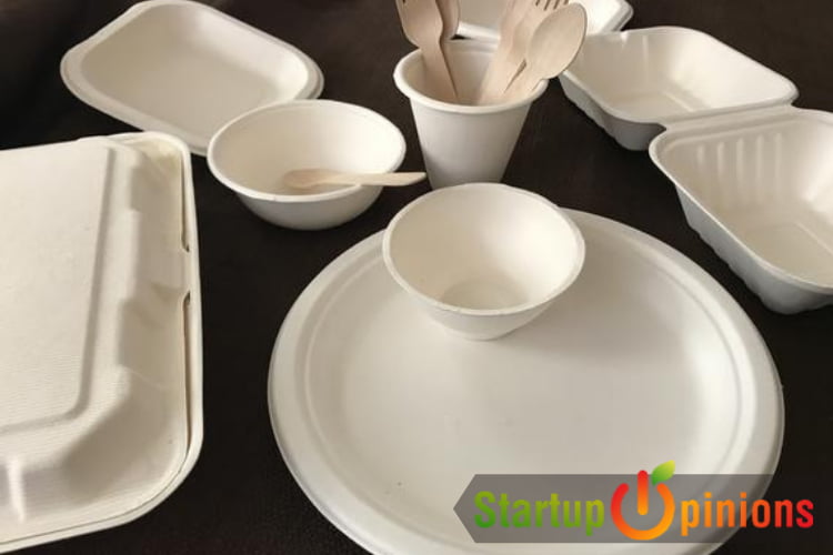 What is Bagasse Tableware Business and Its Importance in Our Lives